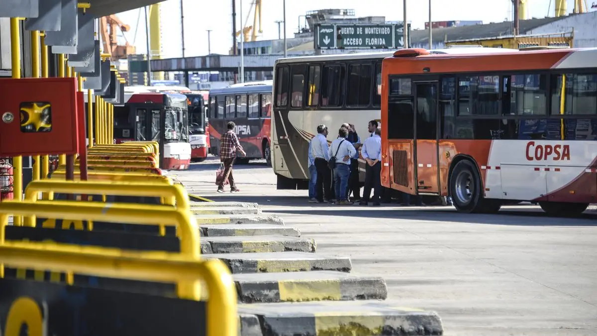 Rigen nuevos precios para pasajes del transporte interdepartamental: de cuánto es el aumento, según distancia
