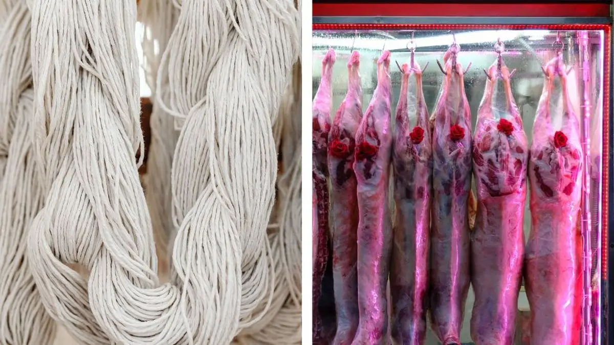 Ingresos por exportaciones del rubro ovino crecieron 40% con fuerte empuje de lanas y carne