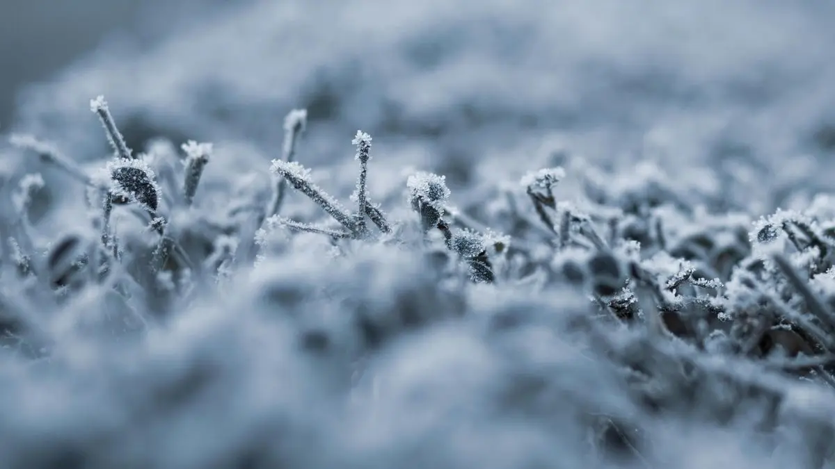 “Ni en Montevideo ni en Cabo Verde”, la ironía mundialista con la que un meteorólogo descarta posibles nevadas en Uruguay