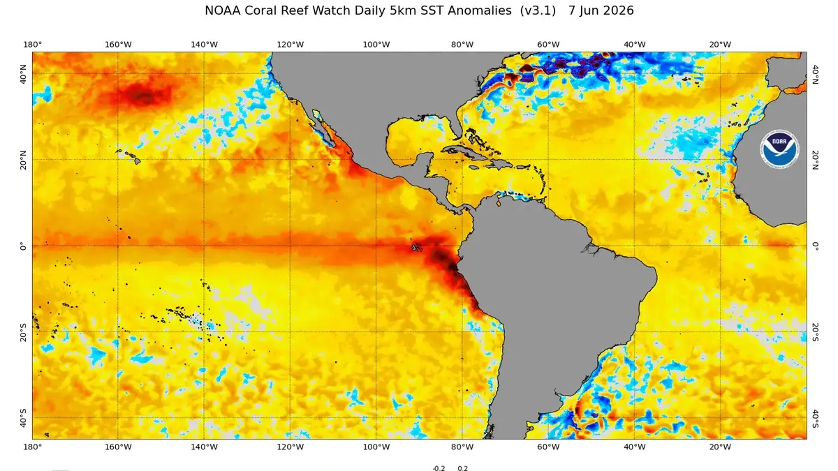 El Niño avanza rápidamente y los expertos prevén un evento histórico para este año, según Metsul