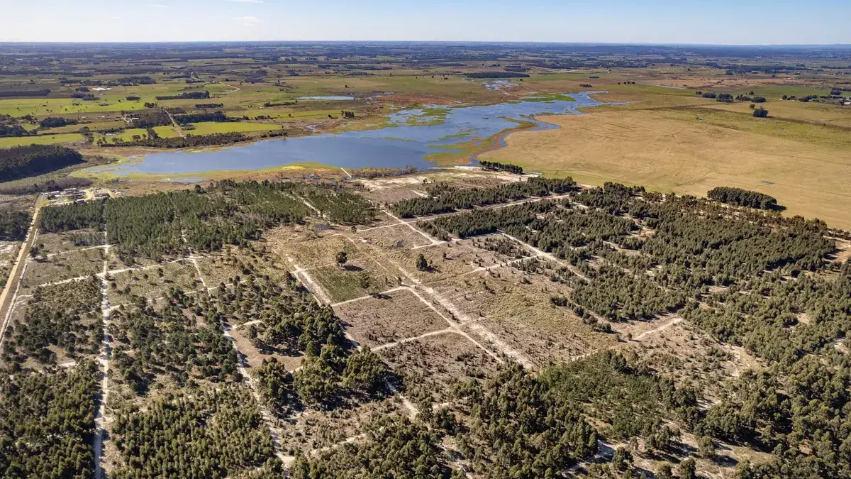 “Se nos trata de imponer un barrio privado”: vecinos de Canelones cuestionaron en el Parlamento proyecto de chacras en Laguna del Cisne