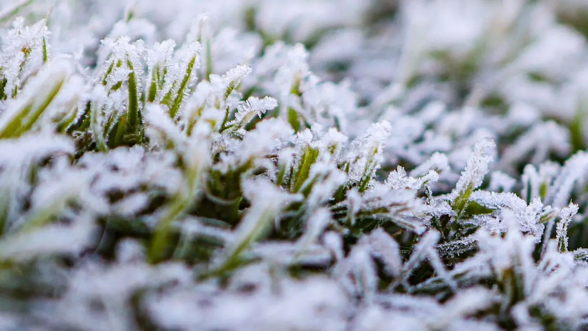 Ola de frío polar a partir del martes: las sensaciones térmicas estarán entre 2° y 0°, “se viene muy complicado el frío”