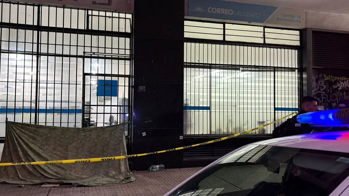 Rompieron la reja con un gato, luego los vidrios y robaron paquetes de encomiendas en local de El Correo