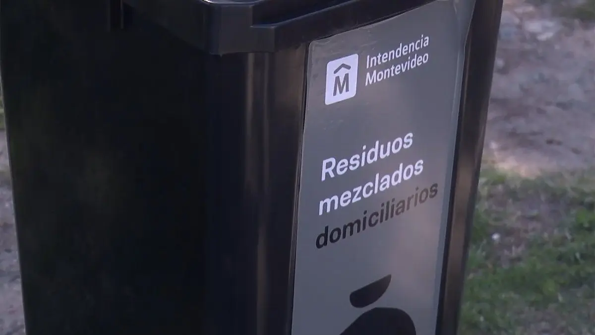 “Alerta camión”: el sistema que informa sobre el recorrido de los recolectores de contenedores intradomiciliarios