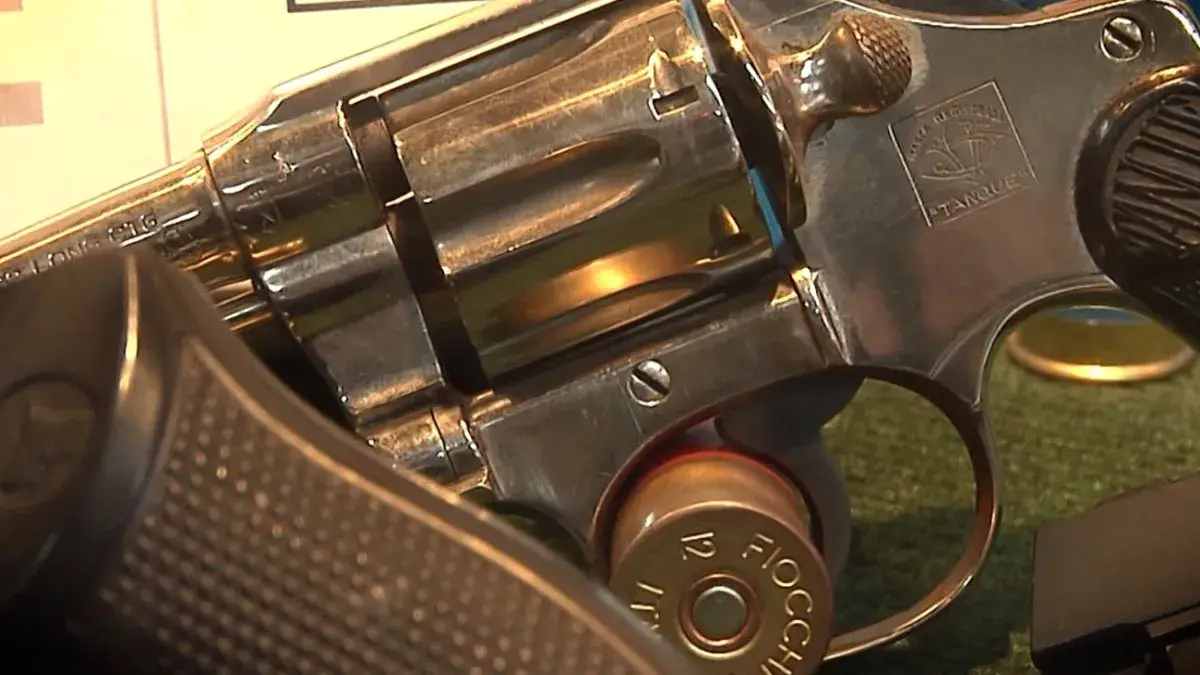 Senado aprobó proyecto que prorroga plazo para regularización de armas