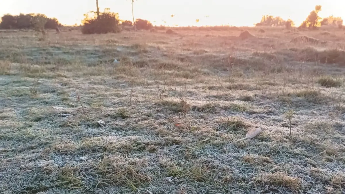 Comienzo de semana helado, con mínimas bajo cero: en Lavalleja llegó a -5º esta mañana