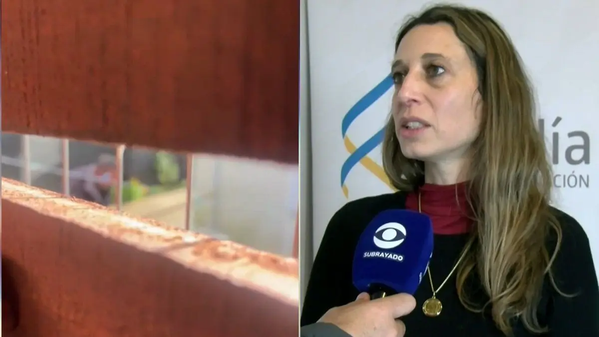 Formalización por maltrato animal en Santa Lucía