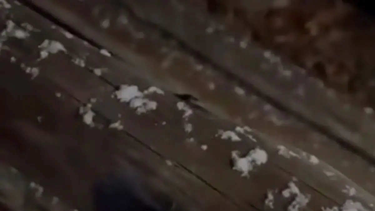 Cayó “aguanieve y nieve en zonas elevadas de Lavalleja y Maldonado”, informó Meteorología