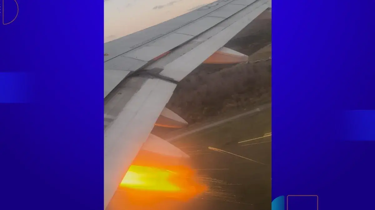 Avión despegó en Montevideo y debió volver con un aterrizaje de emergencia por un ave que “averió” un motor