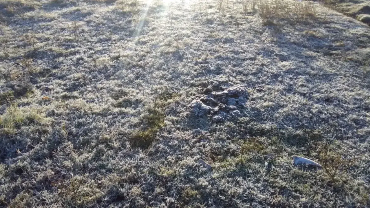 “Mucho cuidado”: Nubel Cisneros anunció “importantes nieblas y neblinas” para la madrugada y ola de frío polar el jueves