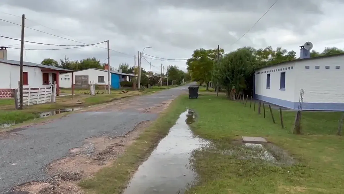 Detectaron irregularidades en libretas de conducir expedidas en San Javier y evalúan realizar denuncia a nivel penal