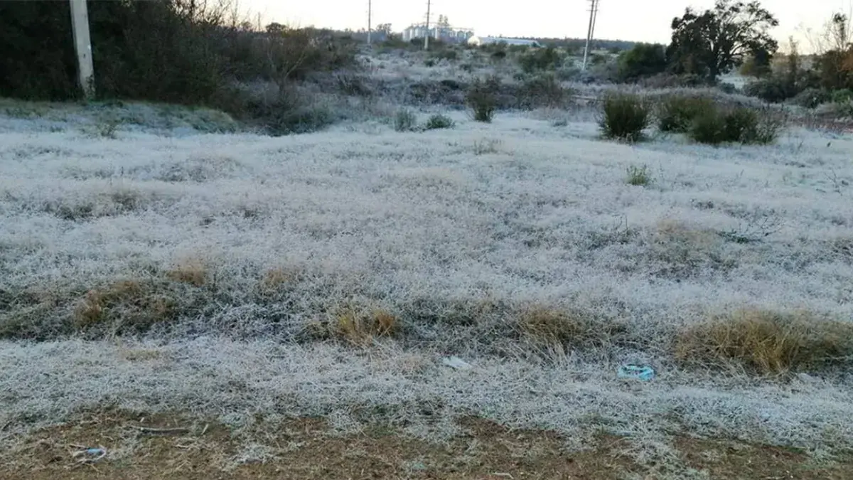 Sábado y domingo con temperaturas bajo cero y “fuertes heladas”, anunció Nubel Cisneros