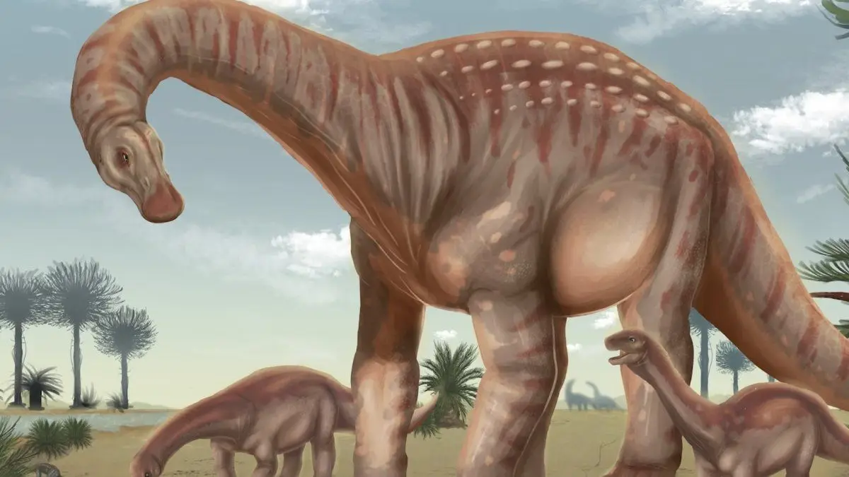 Mesetasaurus Protector: el dinosaurio uruguayo cuyos fósiles aparecieron en Paysandú