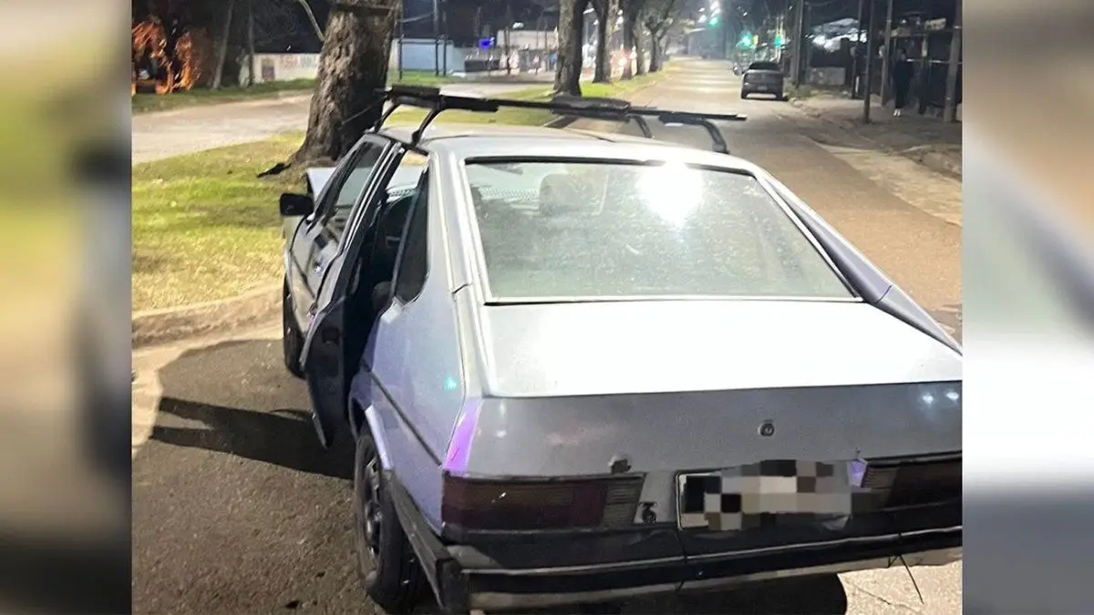 Siniestro de tránsito fatal: un hombre de 65 años murió tras chocar contra un árbol