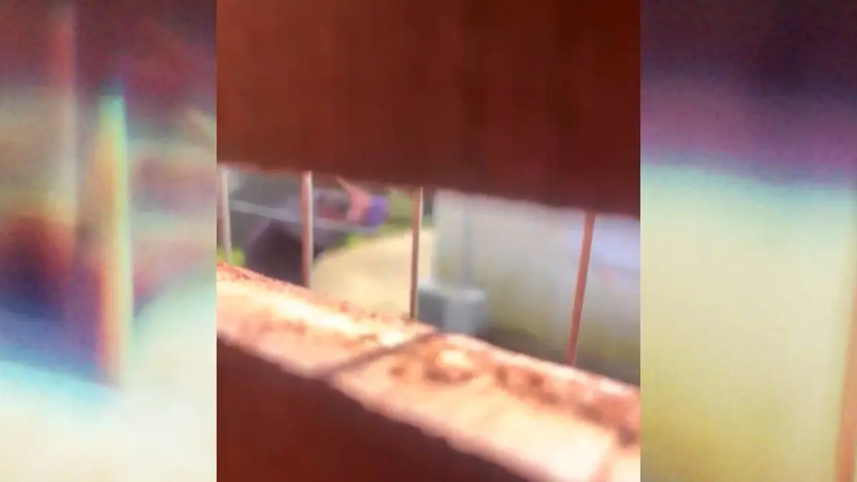 Santa Lucía: detuvieron a un hombre que fue filmado y denunciado por matar a golpes a un gato