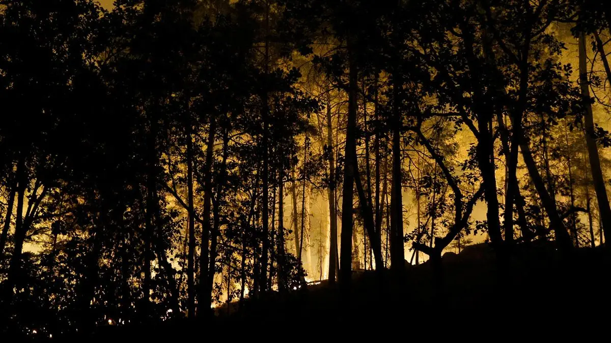 En plena ola de calor, bomberos trabajan en mil hectáreas en llamas de emblemático bosque en París