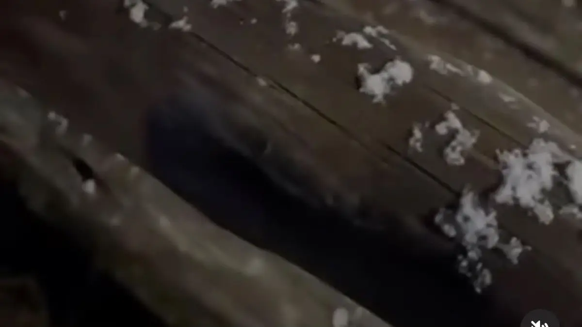 Registraron nieve y graupel en las sierras, a 40 kilómetros de Maldonado