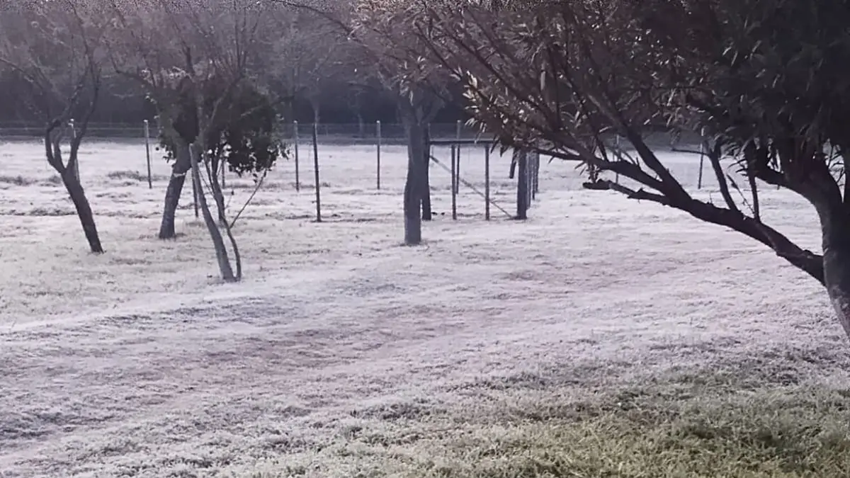 Tiempo estable pero muy frío, con heladas matinales y mínimas de 0 grado