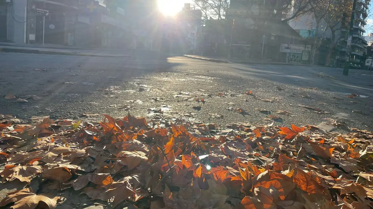 Domingo muy frío con heladas, ligeramente nublado y descenso de temperatura en la noche