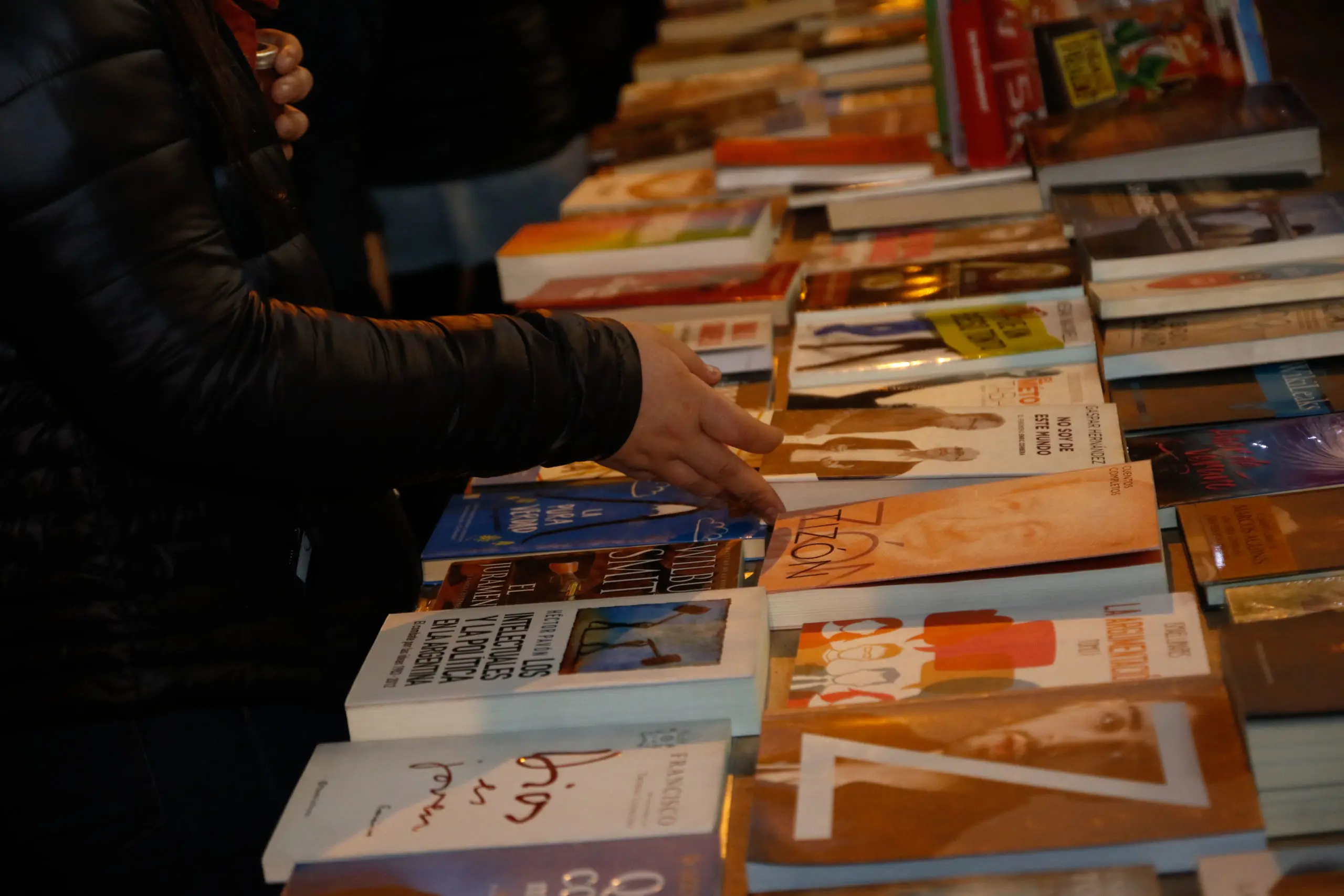 "Es una especie de salvataje": el Senado estudia iniciativa que propone regular precios de los libros
