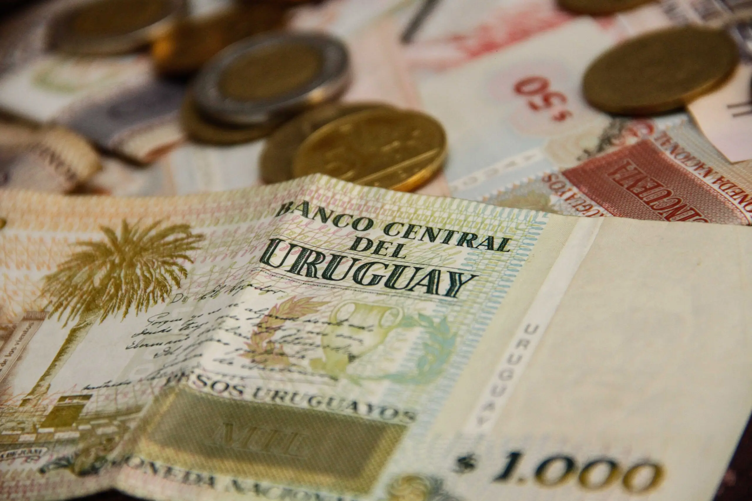 ¿Cómo saber si estás en el Clearing? Así podés consultar gratis tu historial crediticio por una semana