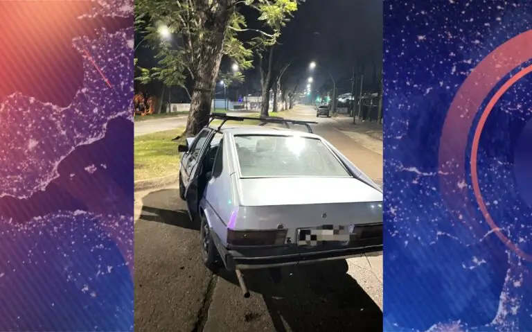 Murió un hombre de 65 años tras chocar con su auto contra un árbol en Salto