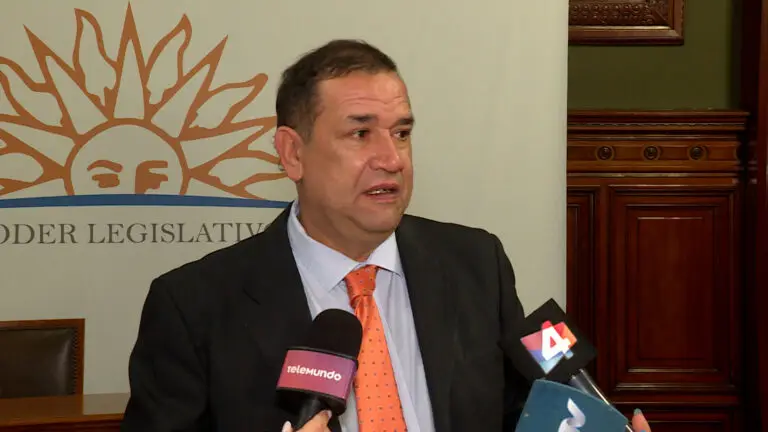 Da Silva sobre Imesi a autos eléctricos: 'Es la patética obsesión que tiene el FA en seguir exprimiendo a la clase media'
