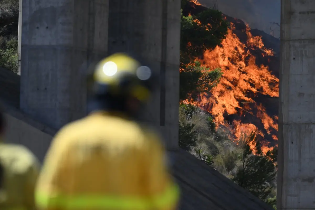 "Estamos ante una tragedia mayúscula": incendio en el sur de España deja al menos 12 muertos y 23 personas sin localizar