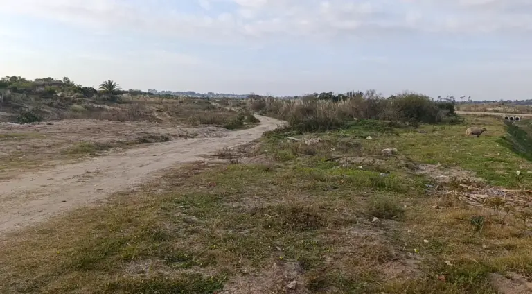 Homicidio en Colonia del Sacramento: encontraron a un hombre muerto de varios disparos