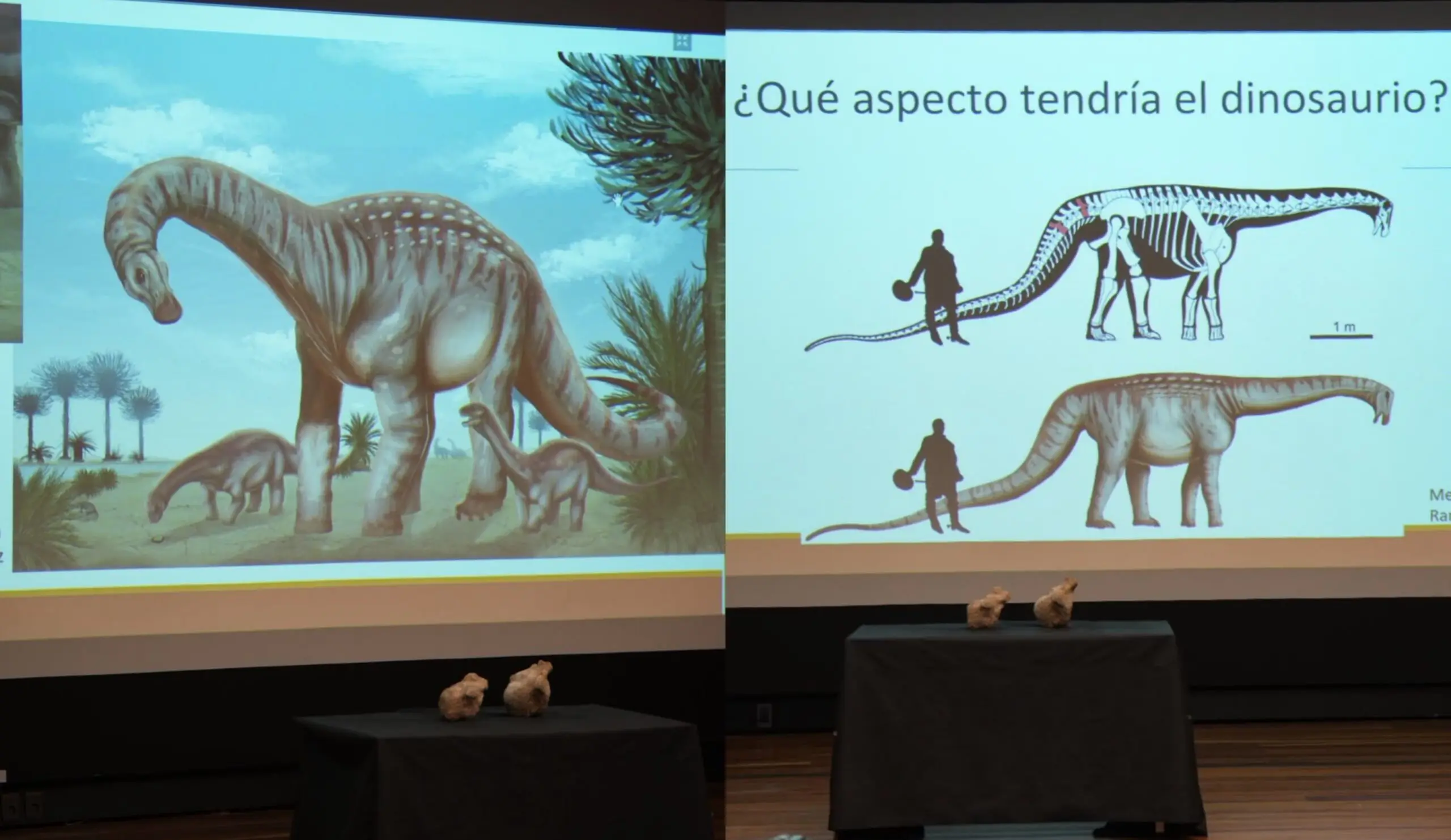 "De cuello largo", herbívoro y nombrado en homenaje a Artigas: descubrieron en Paysandú un nuevo dinosaurio "100% uruguayo"