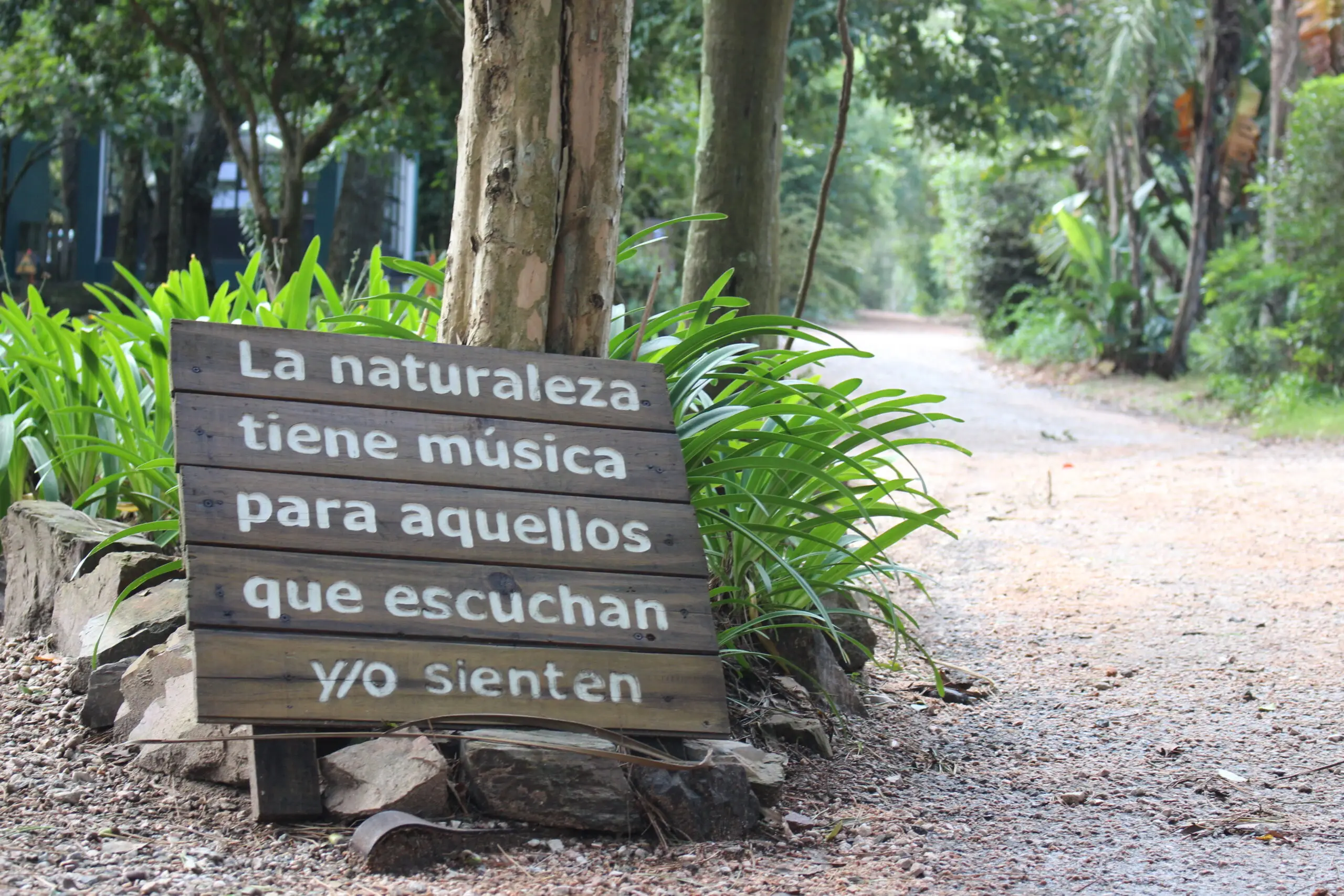 Intendencia de Maldonado propone crear una "Guardia Ambiental" para "fortalecer la educación y la vigilancia del territorio"