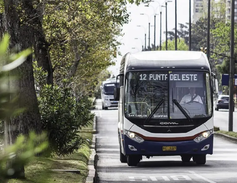 Corredores troncales, ampliación de ciclovías y cursos para deliverys: las propuestas de la Intendencia de Maldonado para mejorar el tránsito