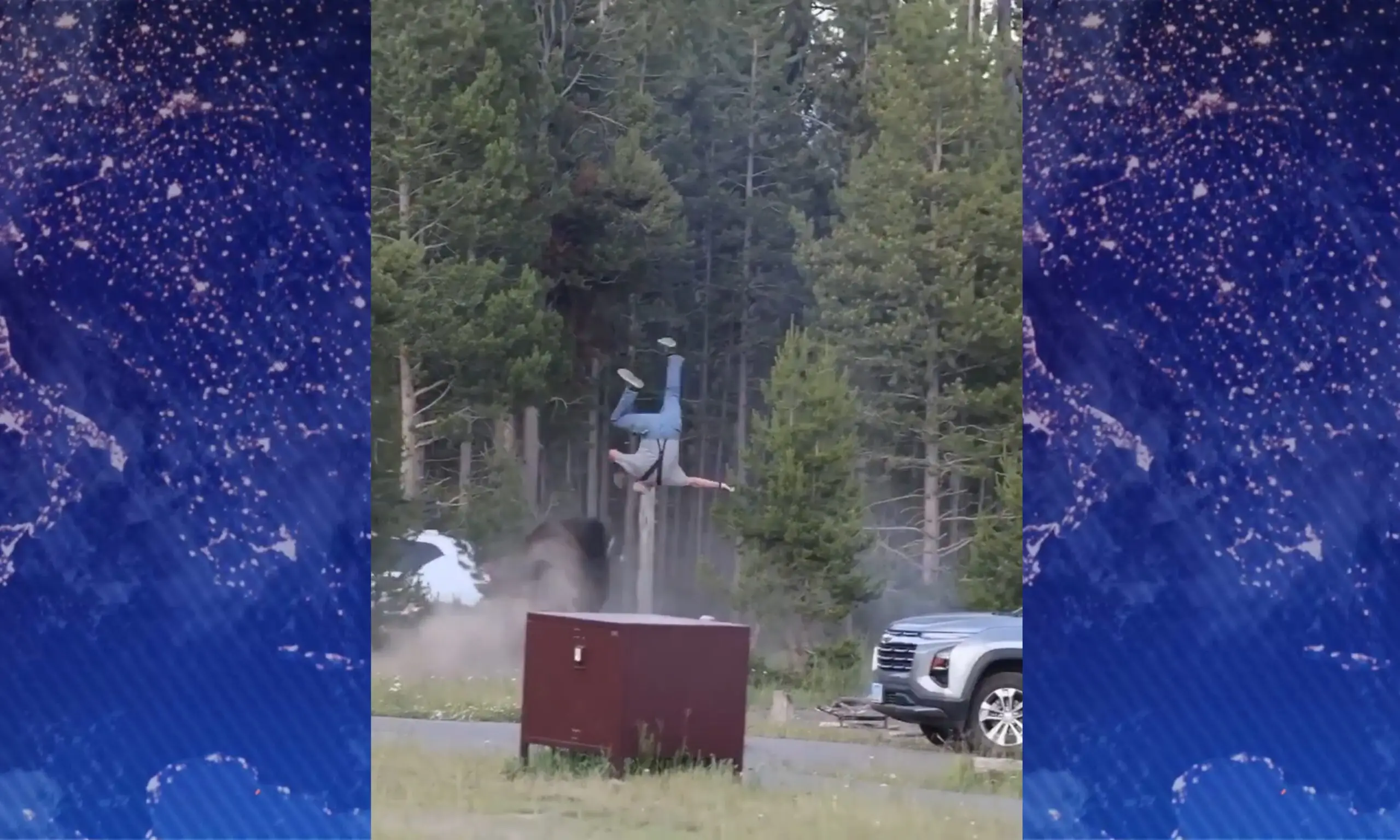 Video: un turista fue atacado por un bisonte en el Parque Nacional de Yellowstone en Estados Unidos